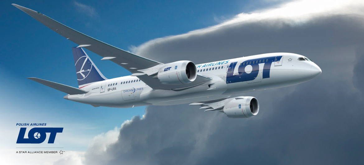 LOT LOT