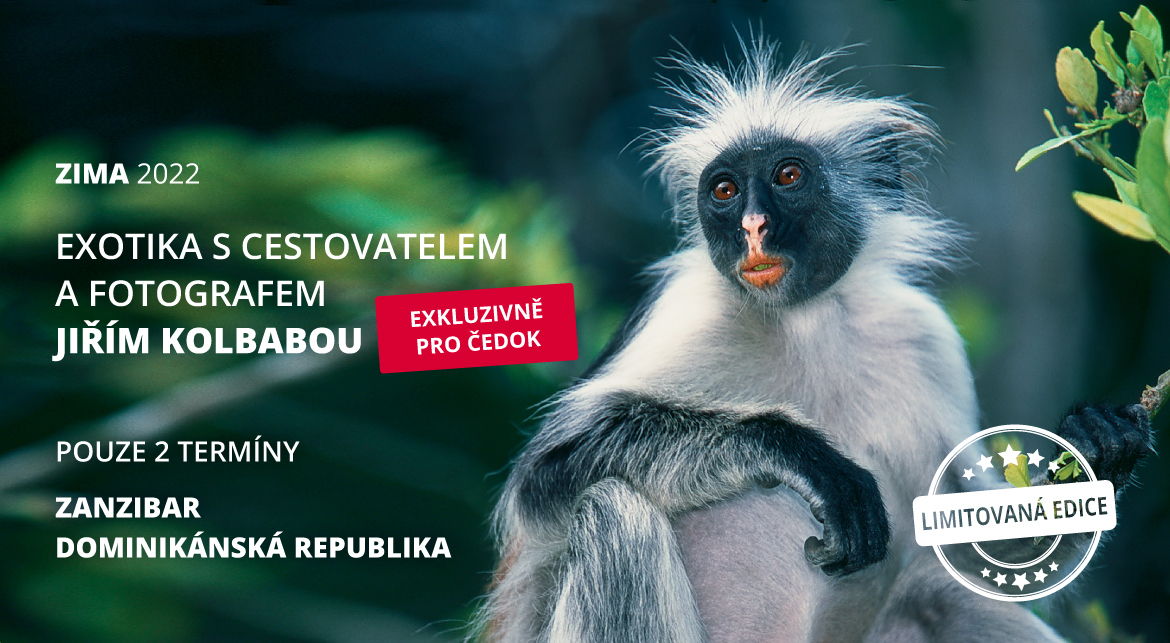 Exotika Exotika