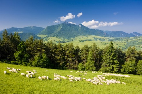 Malá Fatra