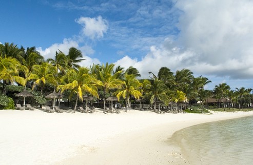 Palmar