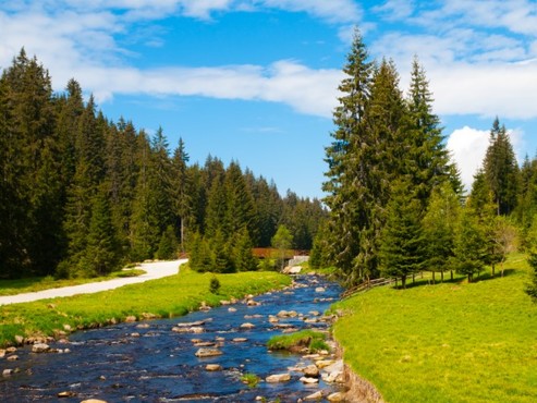 Šumava a Pošumaví